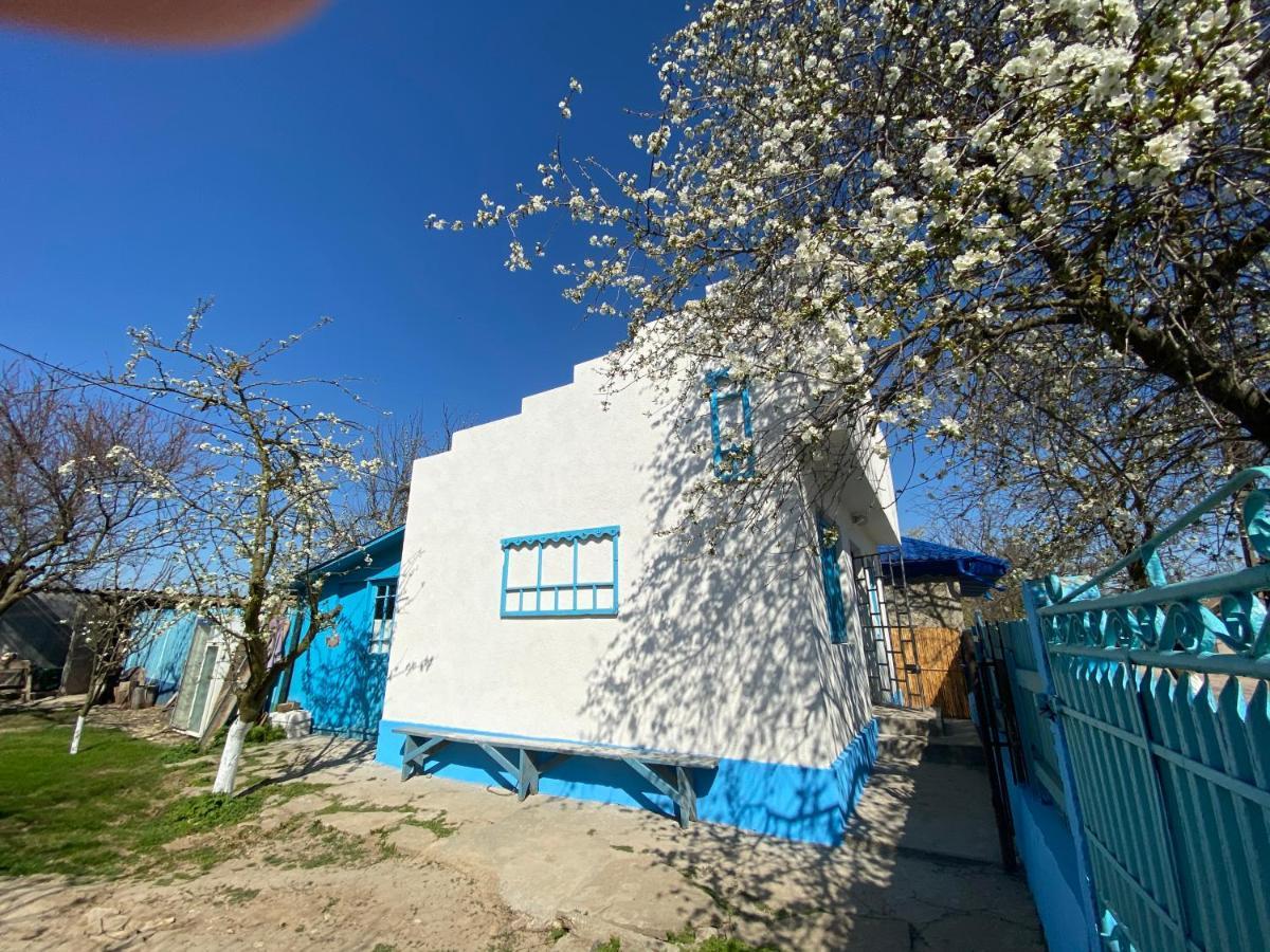Casa Bunicilor Granny'S House Villa Jurilovca Kültér fotó