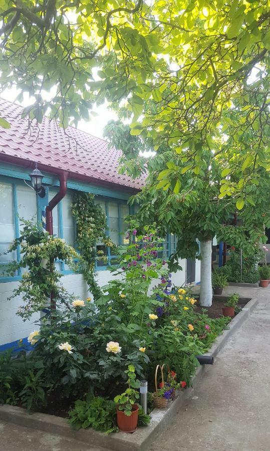 Casa Bunicilor Granny'S House Villa Jurilovca Kültér fotó